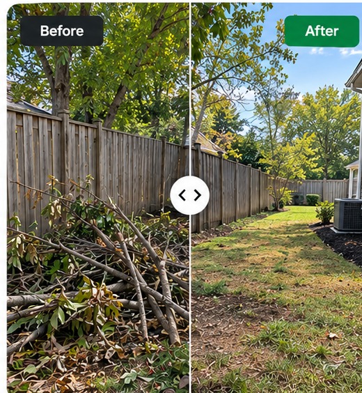Branch and debris removal before and after