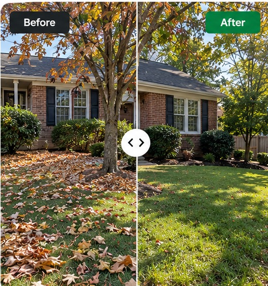 Yard leaf cleanup before and after